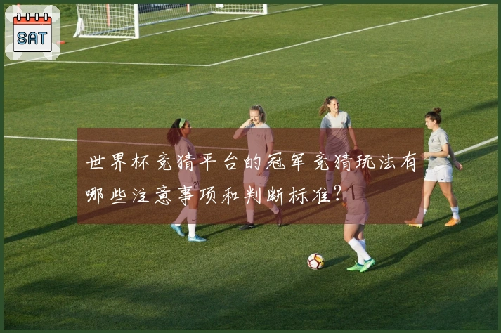 世界杯竞猜平台的冠军竞猜玩法有哪些注意事项和判断标准？