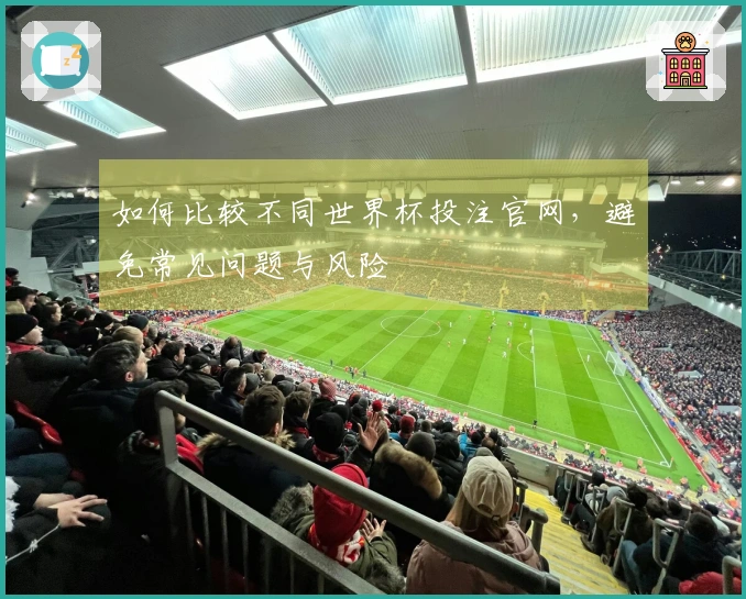 如何比较不同世界杯投注官网，避免常见问题与风险