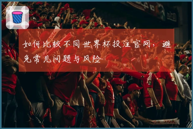 如何比较不同世界杯投注官网，避免常见问题与风险