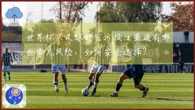 世界杯买足球的官方投注渠道有哪些常见风险，如何安全选择？