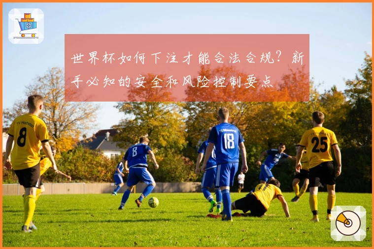 世界杯如何下注才能合法合规？新手必知的安全和风险控制要点